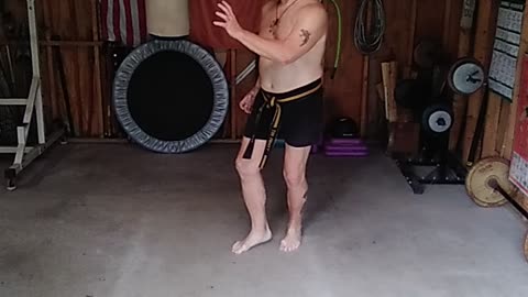Orange Tiger Form Breakdown #2 #martialarts