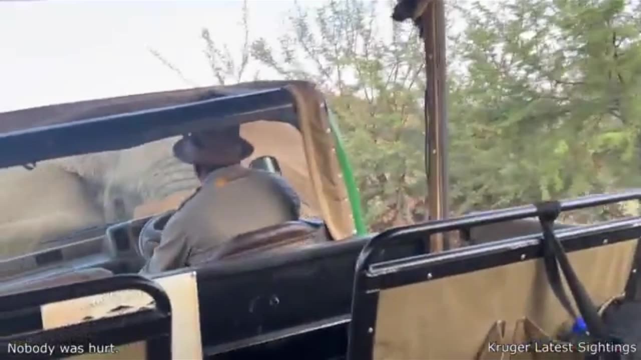 🚨 ENRAGED ELEPHANT FLIPS SAFARI VAN LIKE A TOY! 😱🐘💥