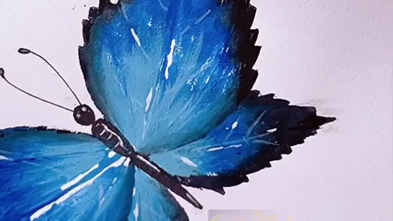 How to draw a butterfly