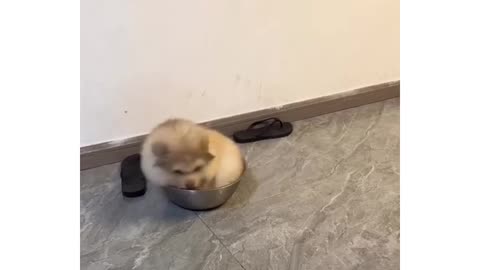 comfy