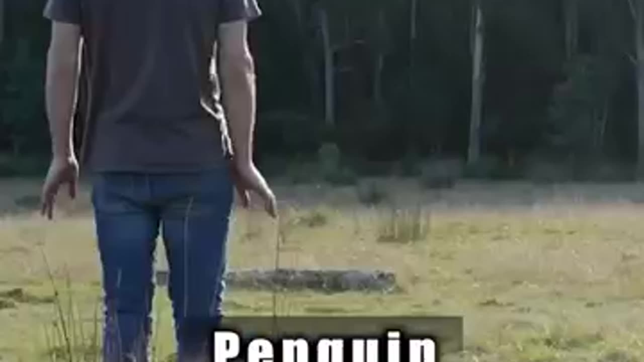 How Animals Fight: Part 2 πΎπ¦ Epic Wild Battles Continue!