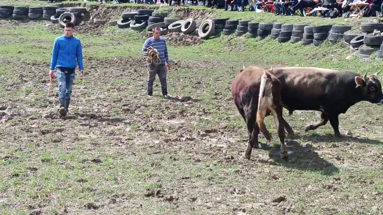 Putalj Mehmed Parić vs Zeko Bego Zejnilović