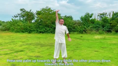 Lose BELLY FAT with Gentle Taichi Exercises