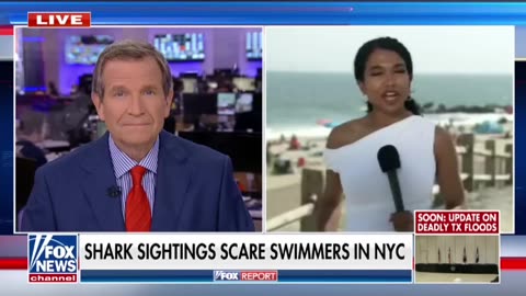Safety fears are rekindled after shark sightings in New York.