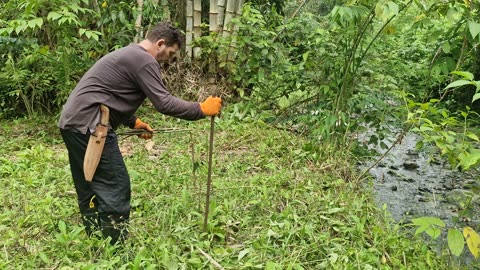 🌱 Expat Life in the Philippines: Planting Mulberry at the Farm 🇵🇭