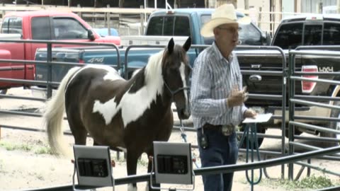 Skipper Calder & Cowboy-up Ministry bring horse training with a message at 11am.