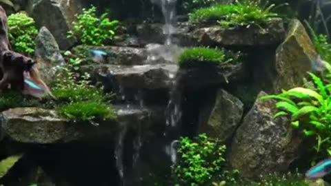 Nature in a Tank: Discover the Art of Aquascaping