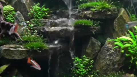 Nature in a Tank: Discover the Art of Aquascaping