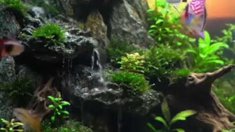 Nature in a Tank: Discover the Art of Aquascaping