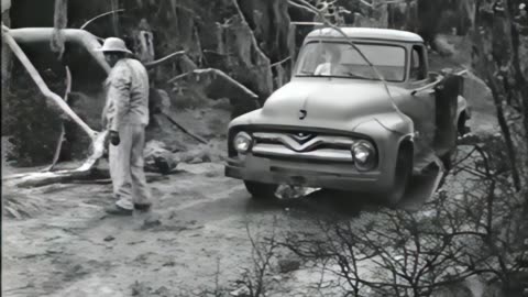 Commander USA's Groovie Movies: Alligator People Halloween Special HD Remaster