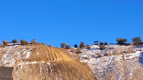 Opening day late season Elk