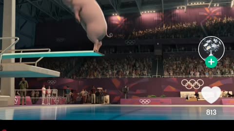 Animal Olimpics: Diving Competition Finals!Who Gets The Gold?