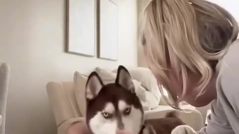 funny animals