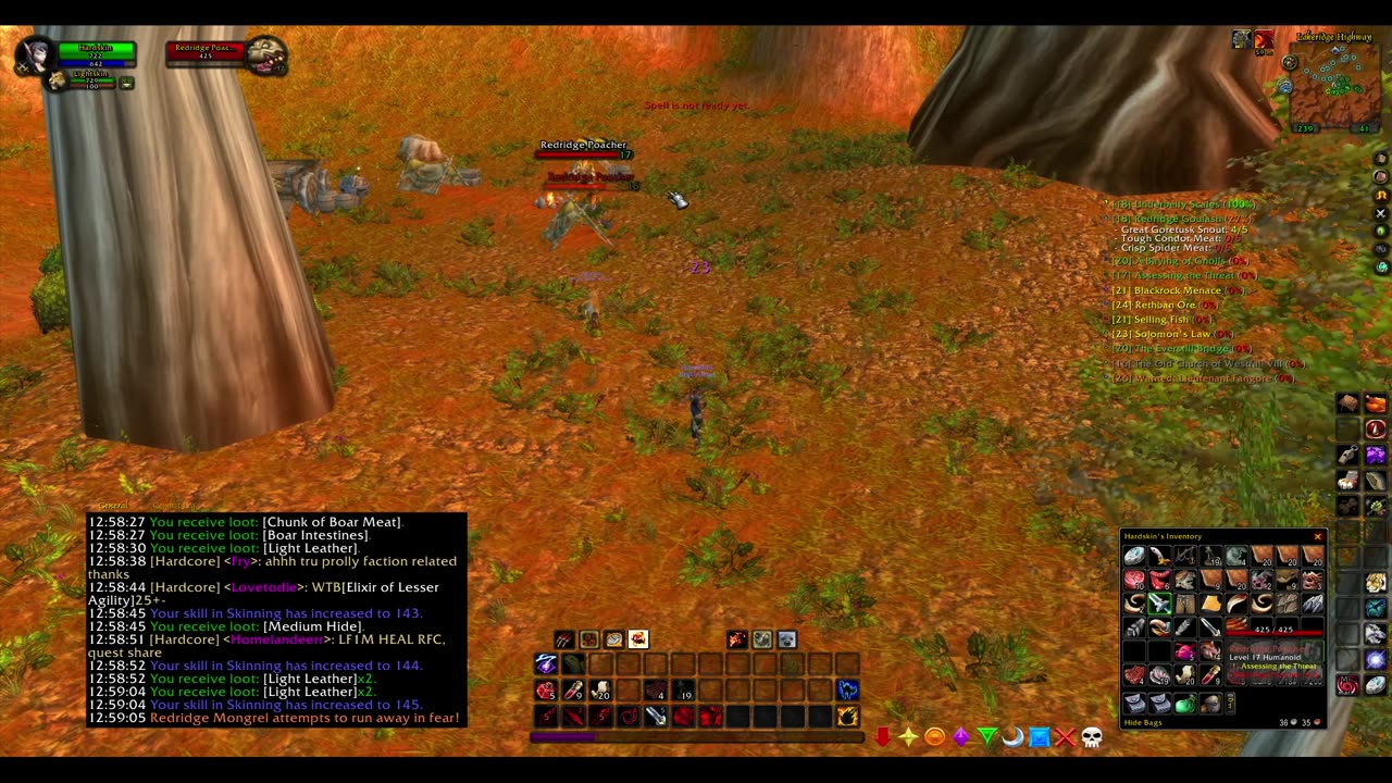 Turtle wow - Melee HC Slow and Steady Hunter - Part 27 - No commentary