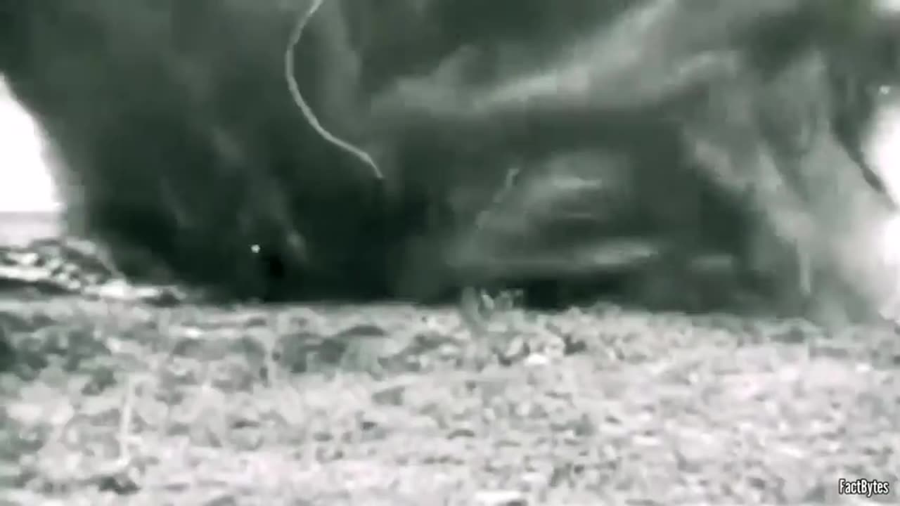 real rockets not fireworks