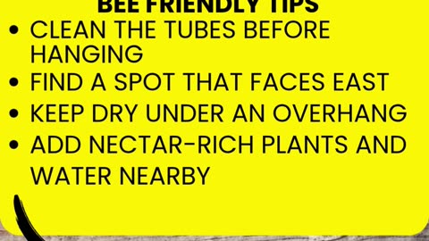 Bee House Setup for Native Pollinators 🐝 Backyard Habitat Tips