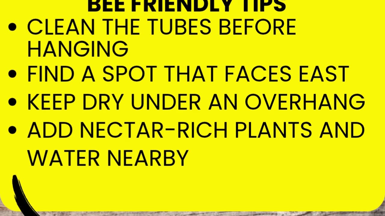 Bee House Setup for Native Pollinators 🐝 Backyard Habitat Tips