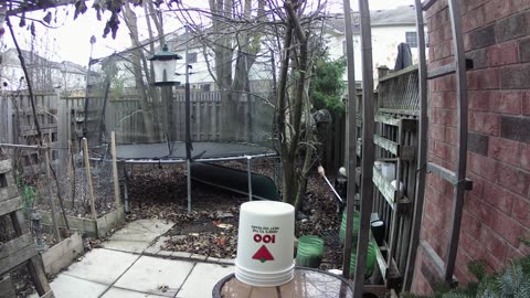 Late Fall Backyard Clean up