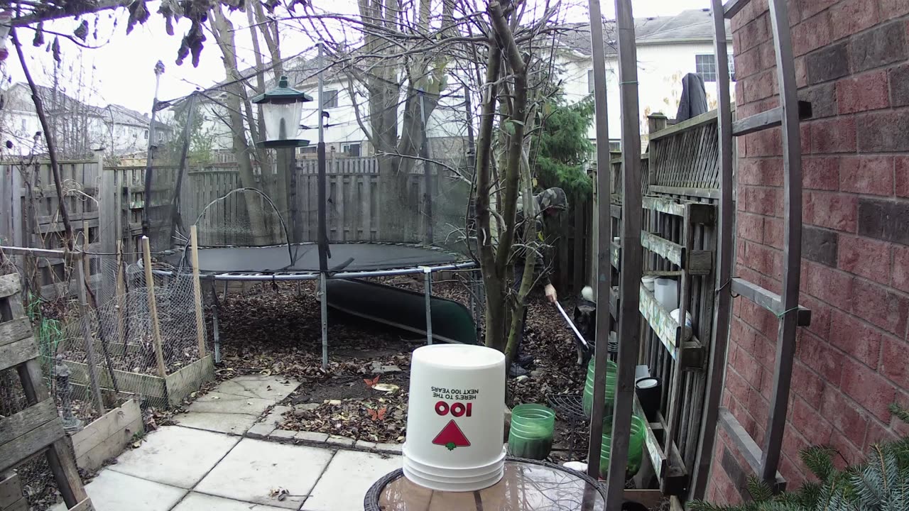 Late Fall Backyard Clean up