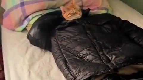 😎😂 He’s Just a Chill Dude! | FunFM