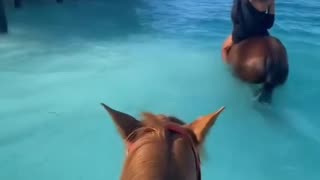 Horseback Riding on the Sea
