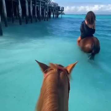 Horseback Riding on the Sea