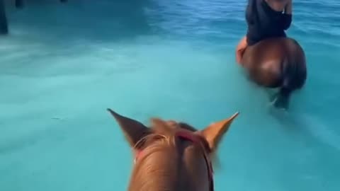Horseback Riding on the Sea