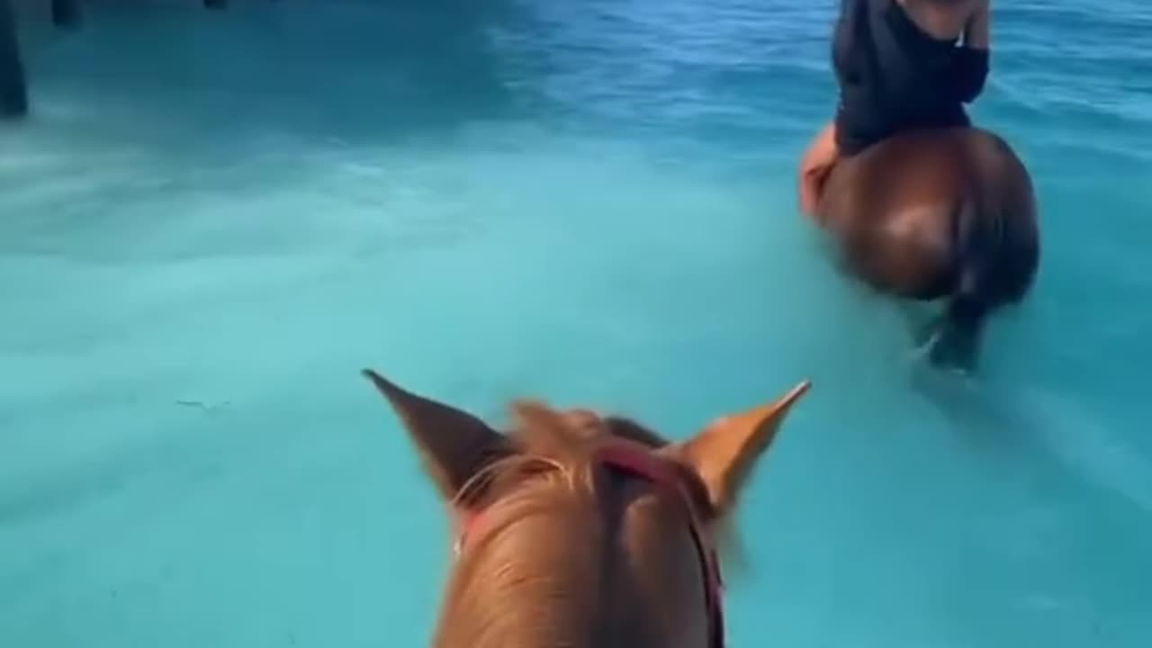 Horseback Riding on the Sea