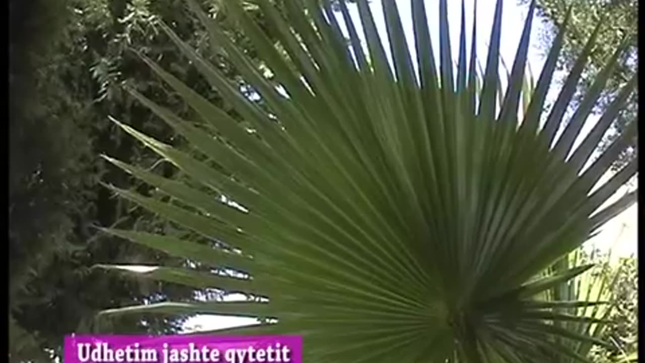 udhetim jasht qyteti 03 07 2010
