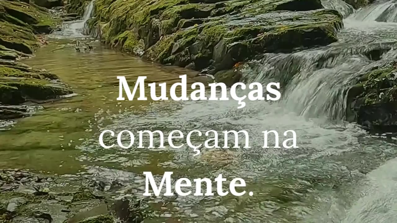 Bom dia