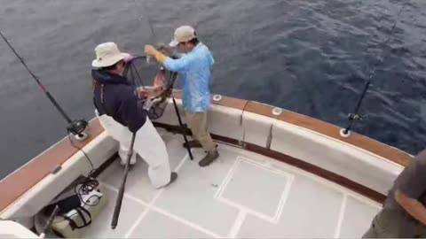 Catalina Live FISHING W/ Justin Wednesday! | Your Saltwater Guide Podcast #709