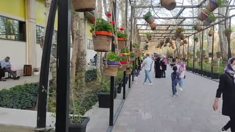 walking tour tulips flowers garden, Karaj, Iran