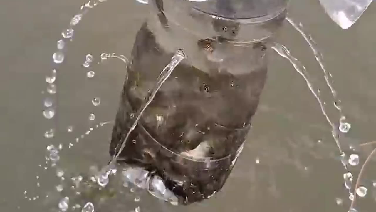 Wow perangkap botol ikan dapat banyak#fish