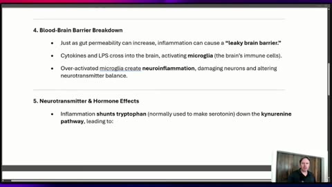 How Stress and Cortisol Break Down the Gut and Brain Barriers