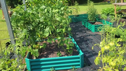 Re-doing the raised bed garden