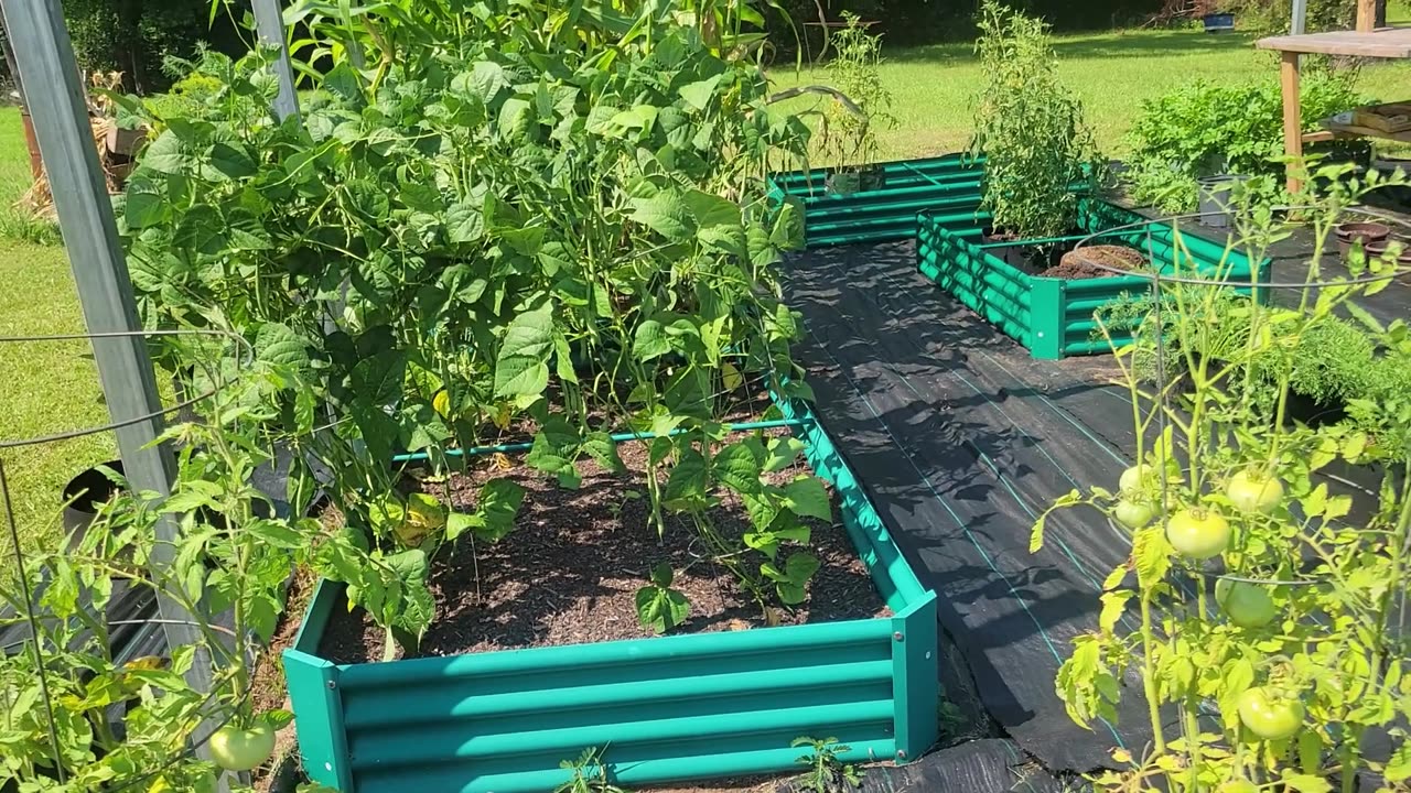 Re-doing the raised bed garden