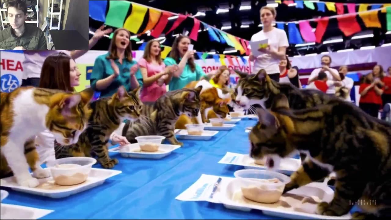 Outtake #1,179 Of The Cats Attempt The Vegan Yogurt Eating Contest Fake Funny Parody Video
