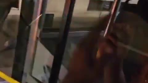 In Milan, if you take the bus at night, you'll be frustrated by criminal immigrants who want