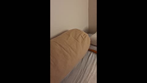 Episode4 - Orienting myself on chatgpt sleeping advice