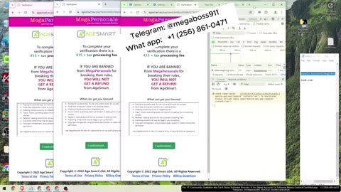 🛠️ Utilize software para criar e vender contas pessoais Mega e verificar
