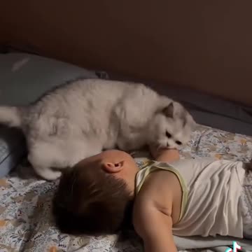 Cat is mather is baby happy sleeping