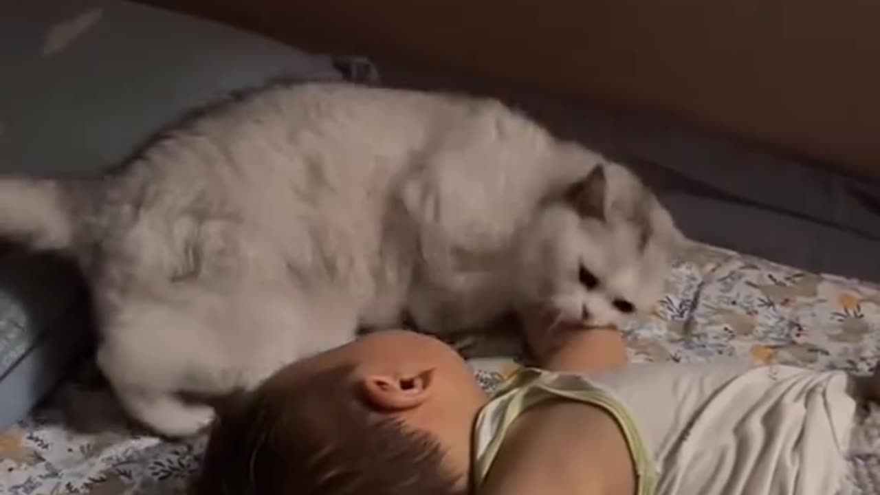 Cat is mather is baby happy sleeping