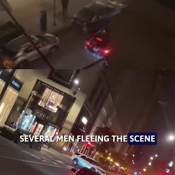 Chicago Louis Vuitton smash-and-grab burglary leads to deadly crash - FOX 32 Chicago