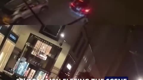 Chicago Louis Vuitton smash-and-grab burglary leads to deadly crash - FOX 32 Chicago