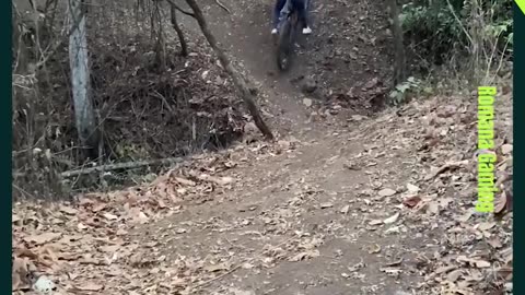 Funny video