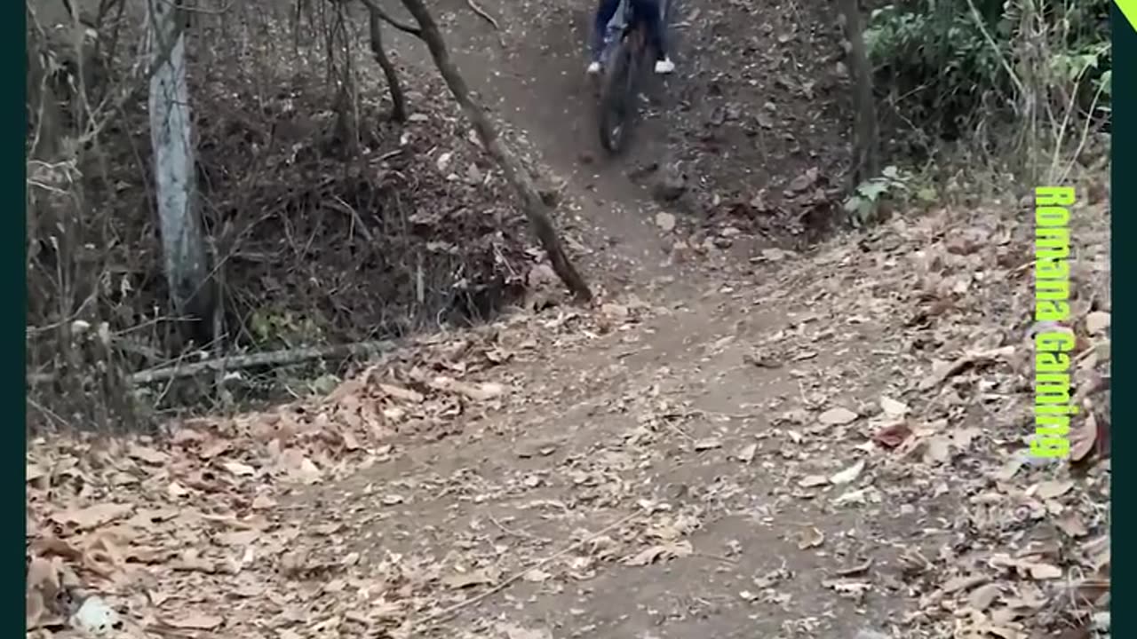 Funny video