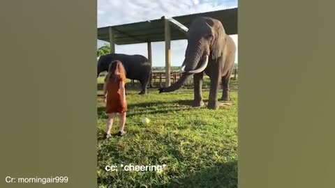 animal love