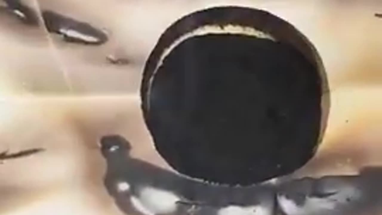 Blowtorch vs. OREO's