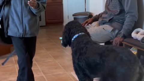 Welcoming Our Newest Family Member