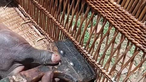 How to varnish furniture